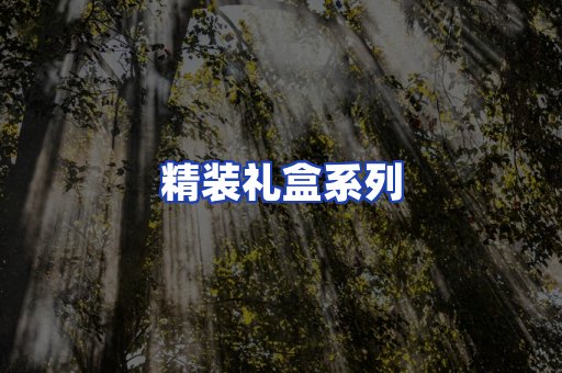 精装礼盒系列